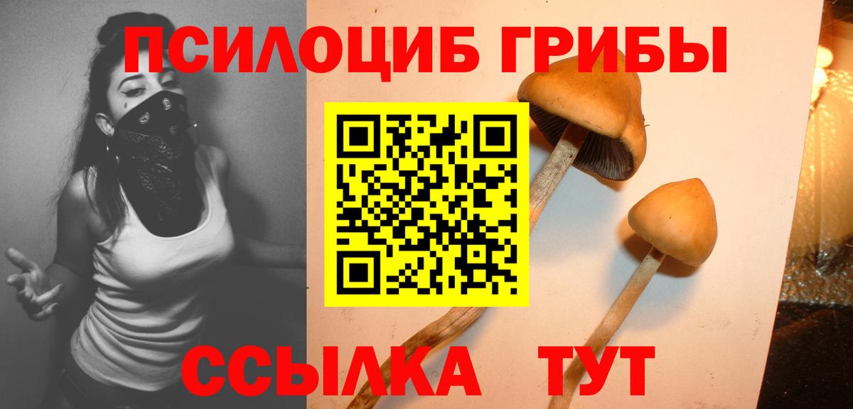 Галлюциногенные грибы мухоморы Мичуринск